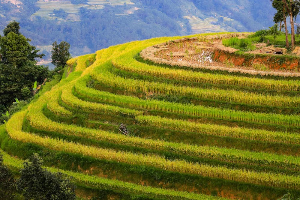 Sapa in September. What Is the Weather Like in Sapa in September?