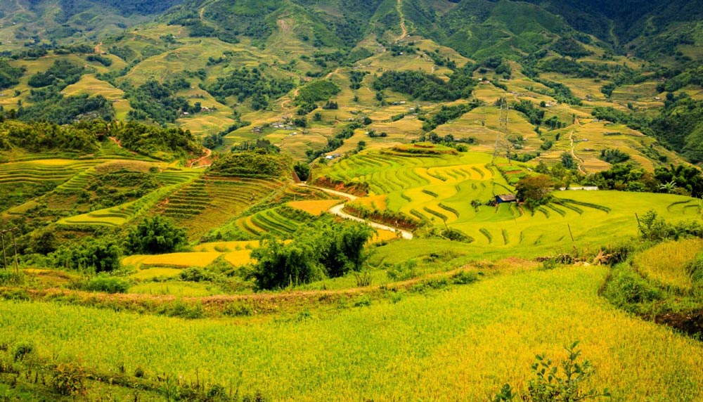Sapa in September 2026: Weather, Ripening Terraces and Tips