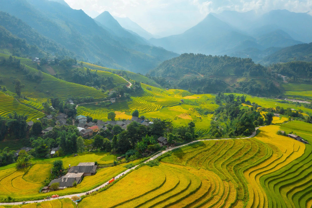 Sapa Rice Fields. Introduction