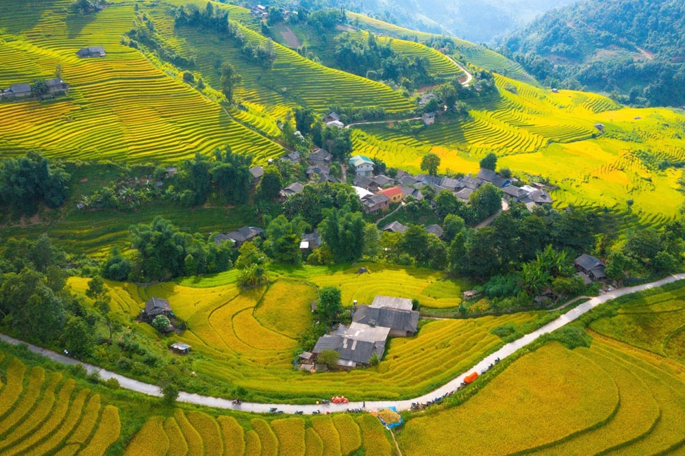 Sapa Rice Fields. Logistics: Trekking, Tours, and Getting There