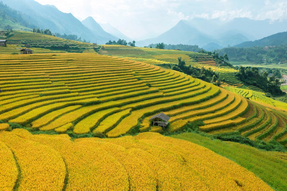 Sapa Solo Travel. Why You Should Consider a Sapa Solo Travel Package