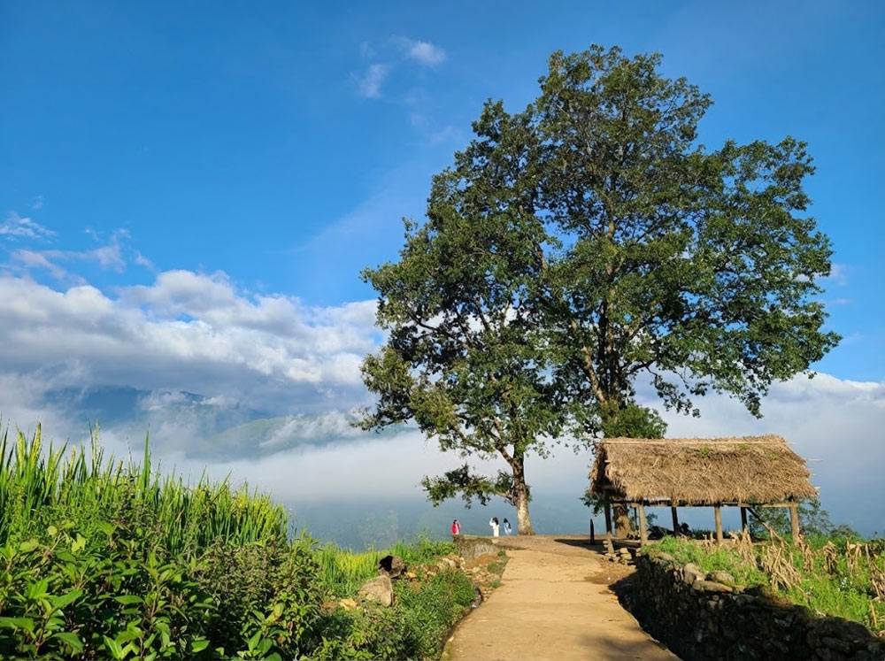 Sapa Tour from Hanoi. 3 Day Sapa Tour From Hanoi (The “Ideal” Itinerary)