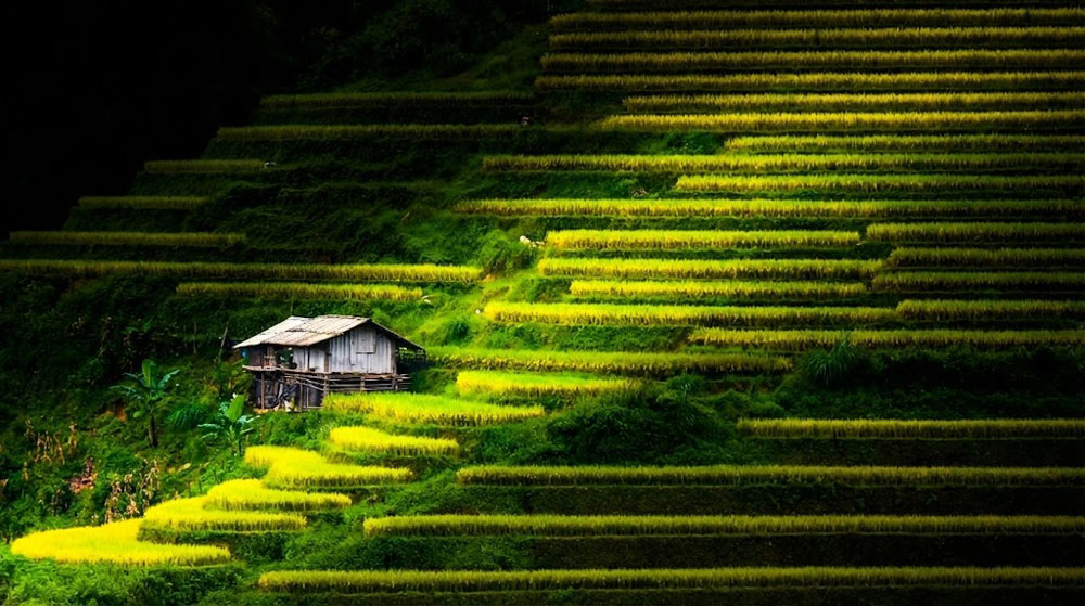 Sapa Tour from Hanoi. The #1 Myth: The “Sapa Day Trip from Hanoi” (Don’t Do It!)