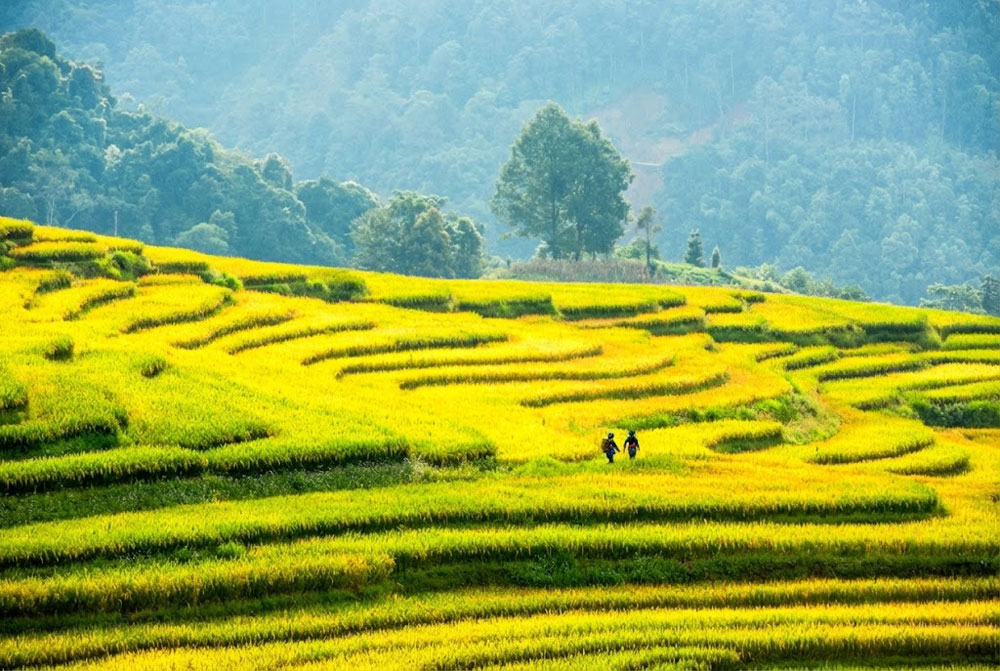 Sapa Tour from Hanoi. You've Seen the Photos. Now, Let's Get You to Sapa