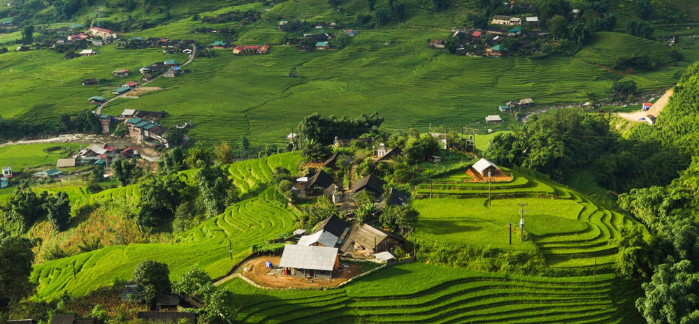 Sapa Tour Package. Sapa Tour Package Price 2026: Local Experts vs. Big Agencies