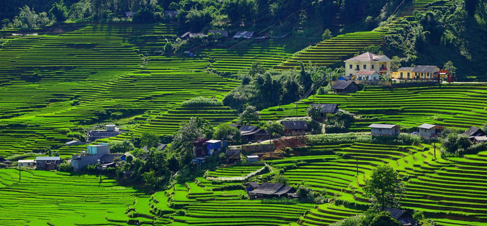 Sapa Tour Package. Top-Rated Itineraries: Finding Your Perfect Sapa Travel Packages