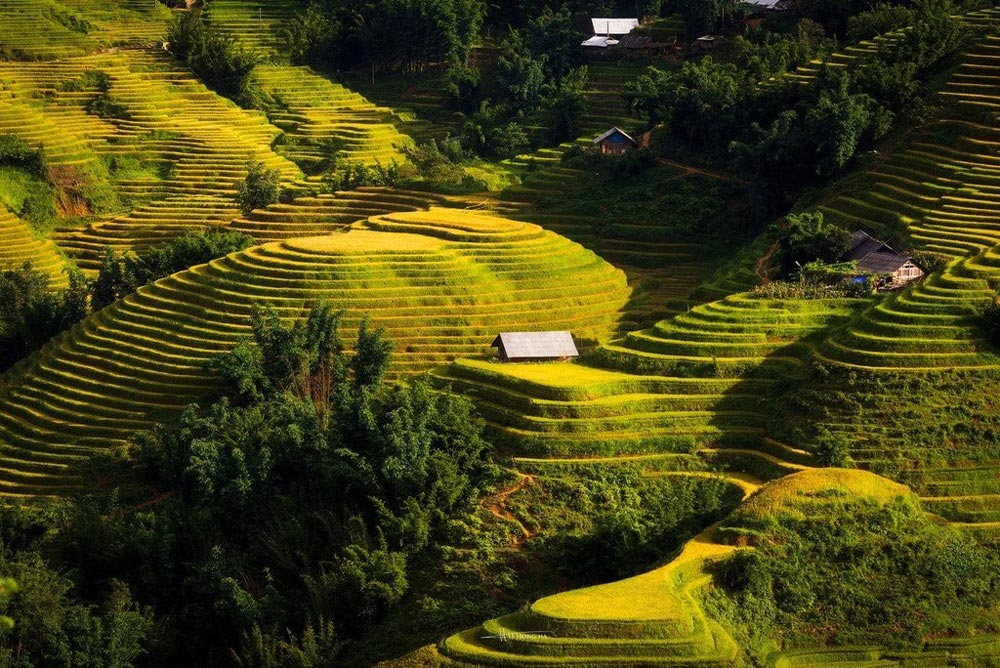 Sapa Tour Package. Why Book a Sapa Vietnam Tour Package from Singapore or Malaysia?