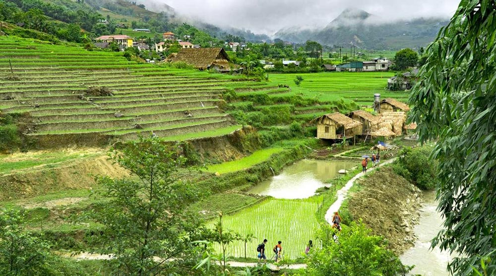 Sapa Trek Tour. The Quick Taste: Sapa Trekking Tour 1 Day