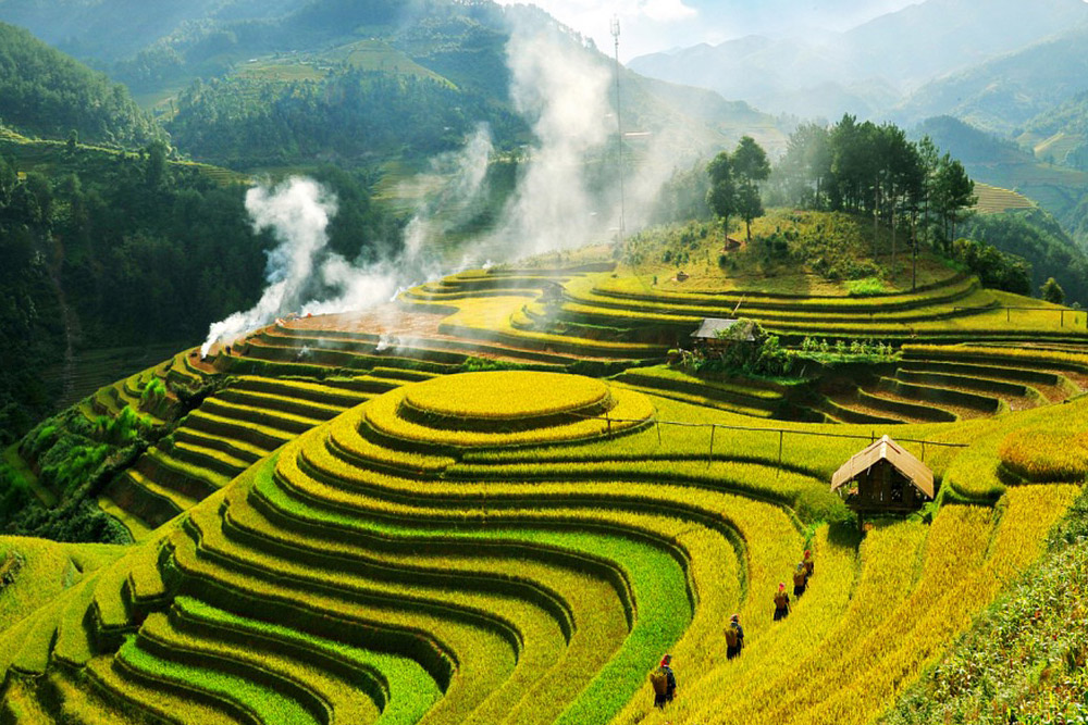 sapa-golden-terrace