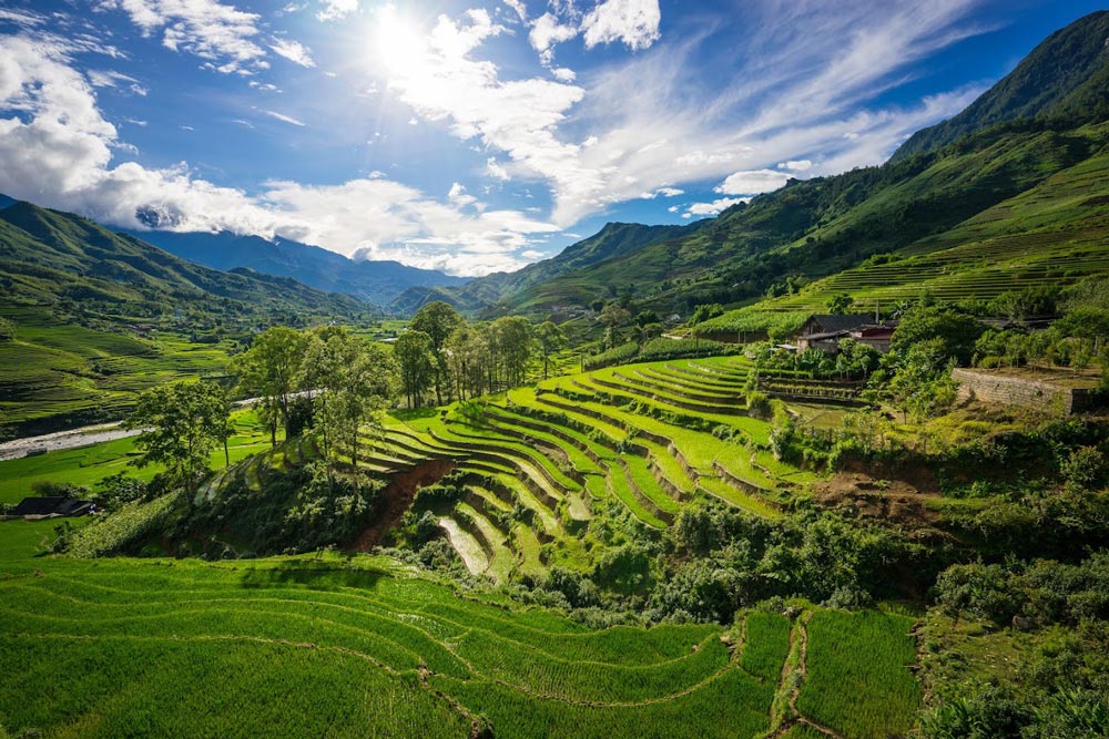 Sapa Vietnam Best Time to Visit. Best Time to Visit Hanoi, Sapa and Halong Bay