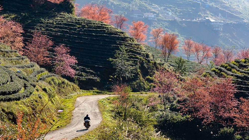 Sapa Vietnam Vlog. Behind the Scenes: Filming and Logistics