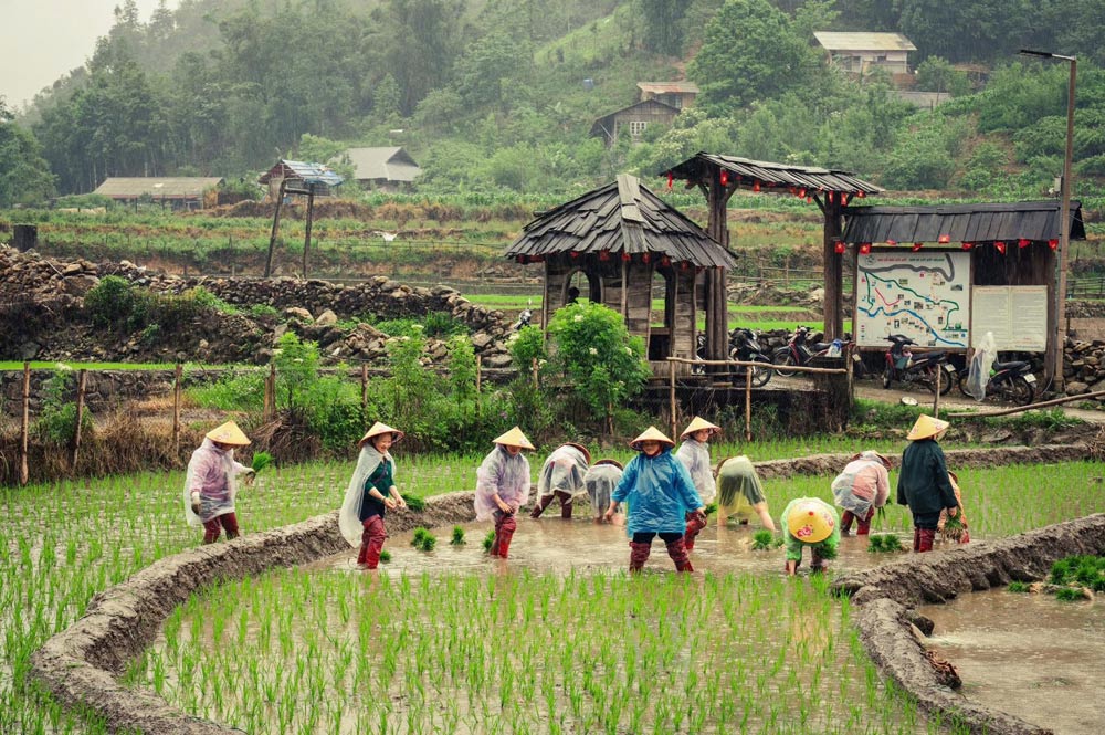 Sapa Vietnam Weather April. Frequently Asked Questions