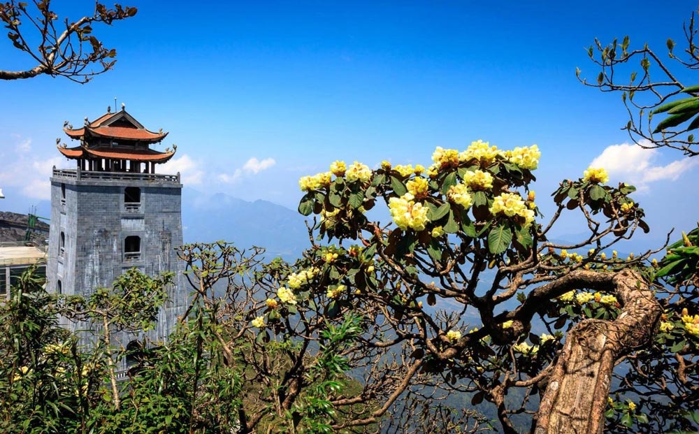 Sapa Vietnam Weather April. What Is the Weather Like in Sapa in April? Temperature and Climate