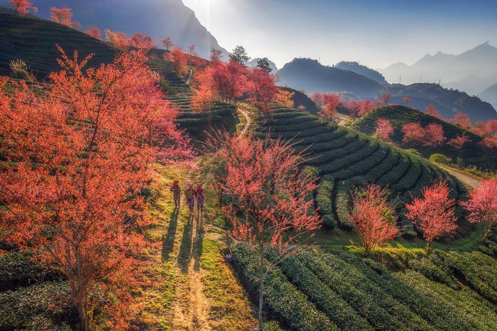 Sapa Vietnam with Kids. Crafting Your “Sapa Vietnam with Kids Itinerary”