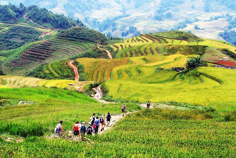 Sapa Vietnam with Kids. Sapa Trekking for Kids: How to Make It Work