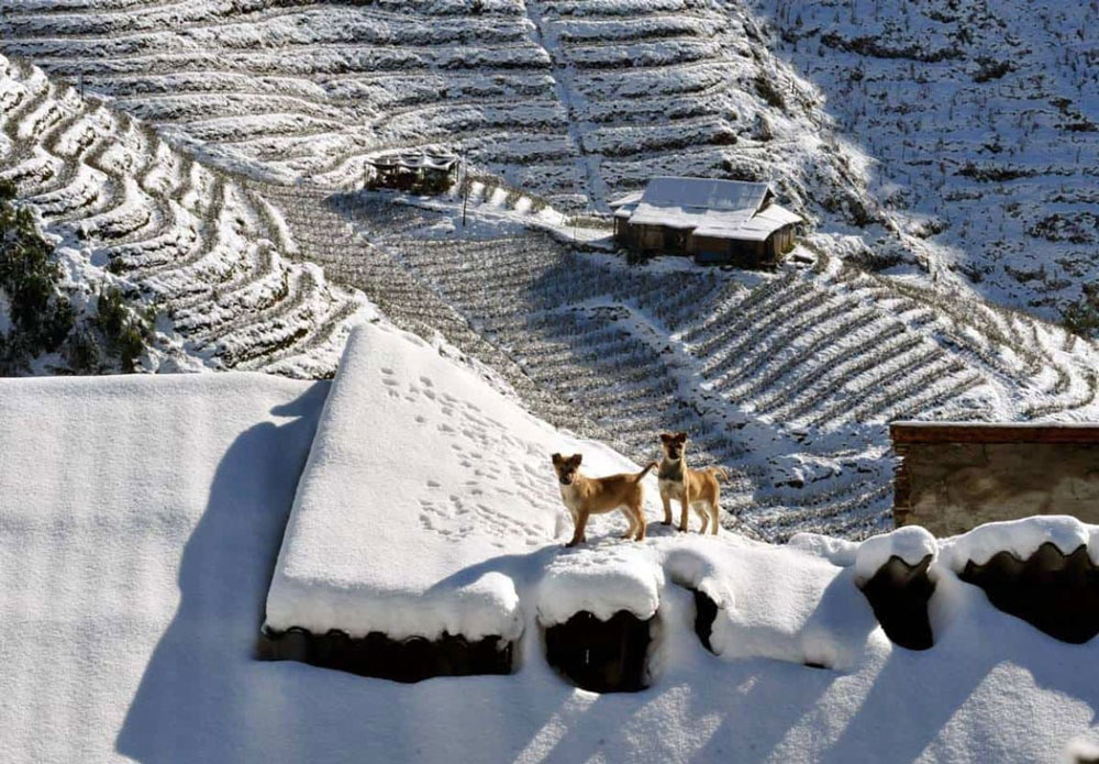 Sapa Weather in December 2026: Snow, Temperatures and What to Wear