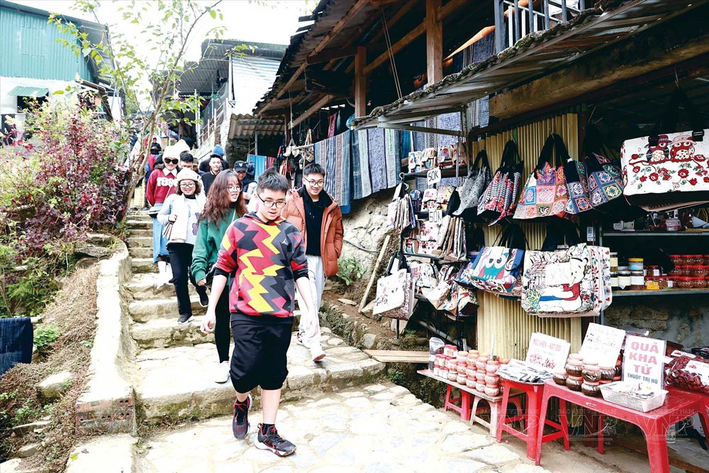 Sapa Weather in February. Sapa in February and Tet 2027: What Travelers Should Know