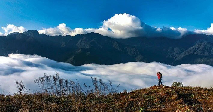Sapa Weather in February 2027: Temperatures, Tet Crowds, Blossoms and What to Wear