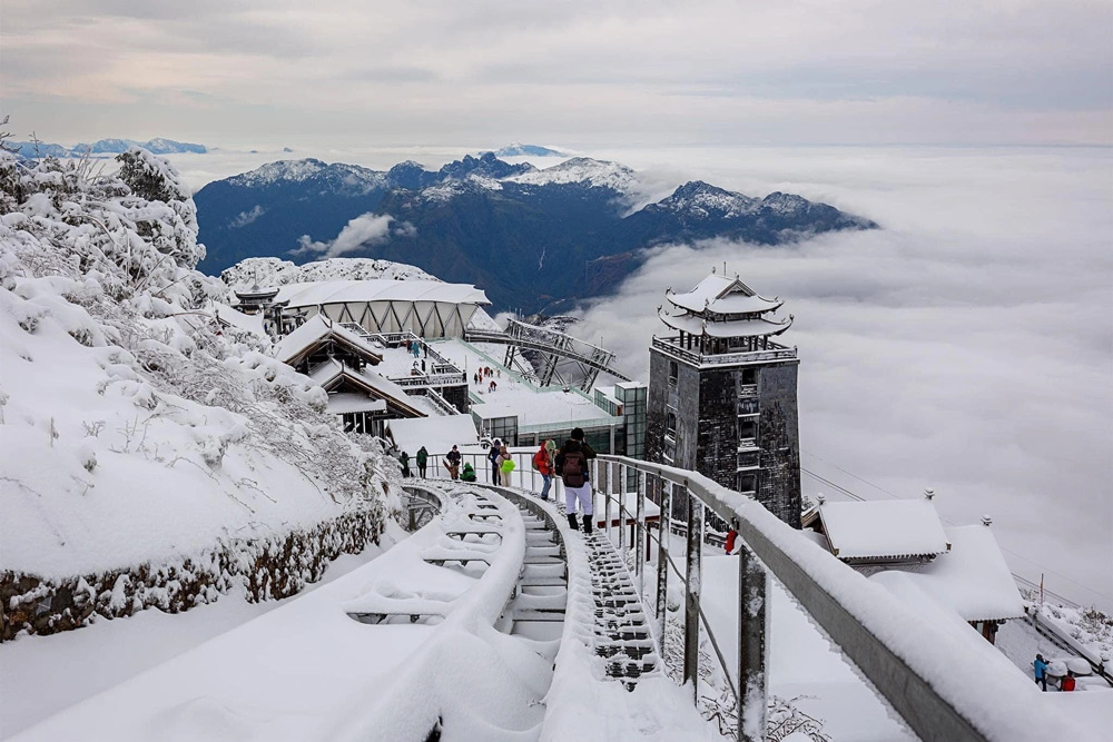 Sapa Weather in January. Will Sapa Snow in January? The Frost vs. Snow Reality
