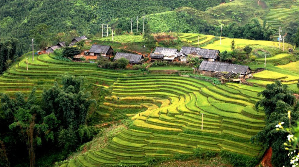 Sapa Weather in July. Sapa in June vs. July: The Summer Breakdown