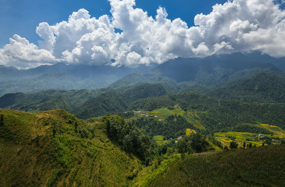 Sapa Weather in July. What Is the Weather Like in Sapa Valley in July?