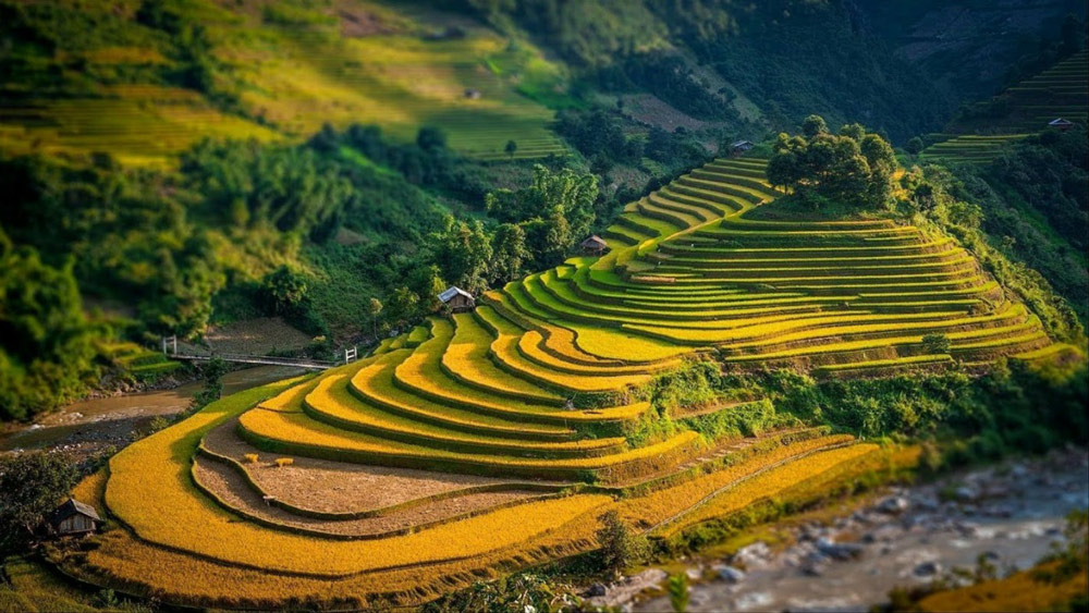 Sapa Weather in July 2026: Monsoon Magic, Emerald Terraces and Trekking