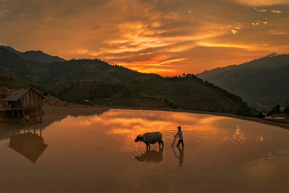 Sapa Weather in June. Is June a Good Time to Visit Sapa? The Emerald Season