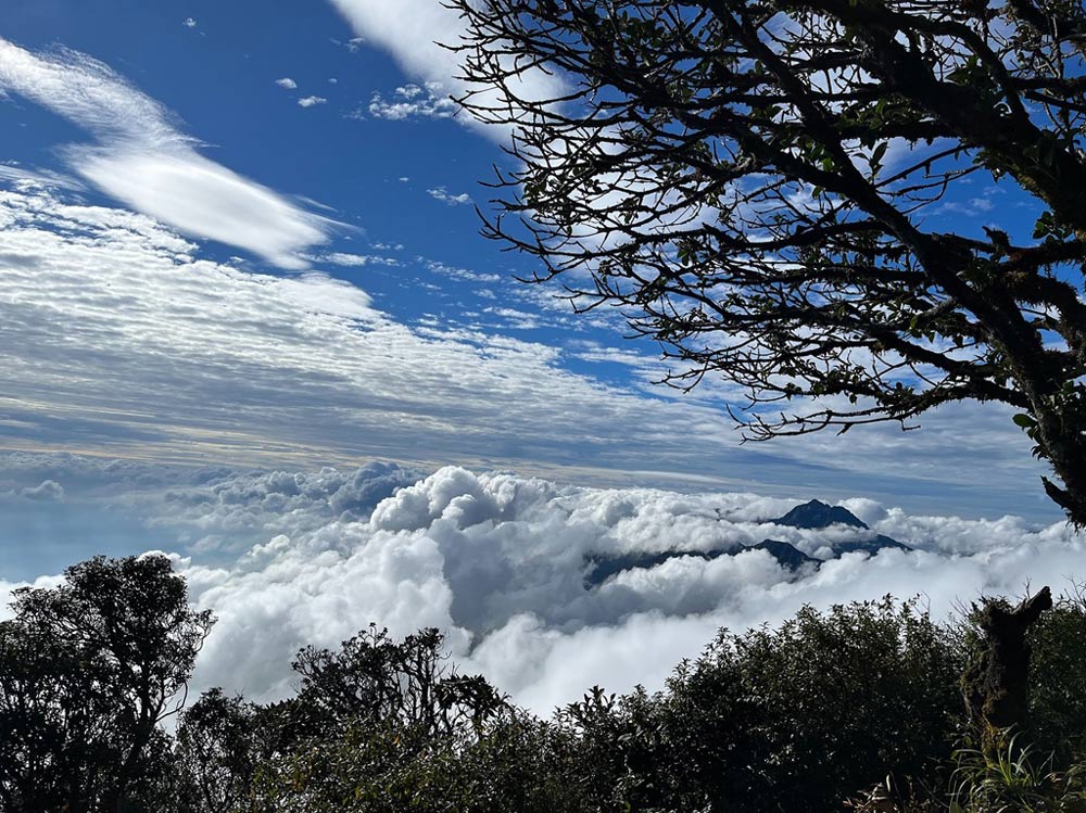 Sapa Weather in March. Asia Mystika Insider Advice: The March Reality Check