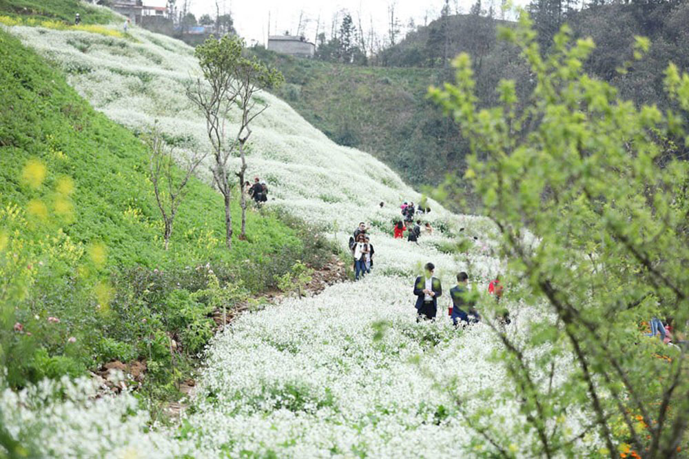 Sapa Weather in March. Is March a Good Time to Visit Sapa?