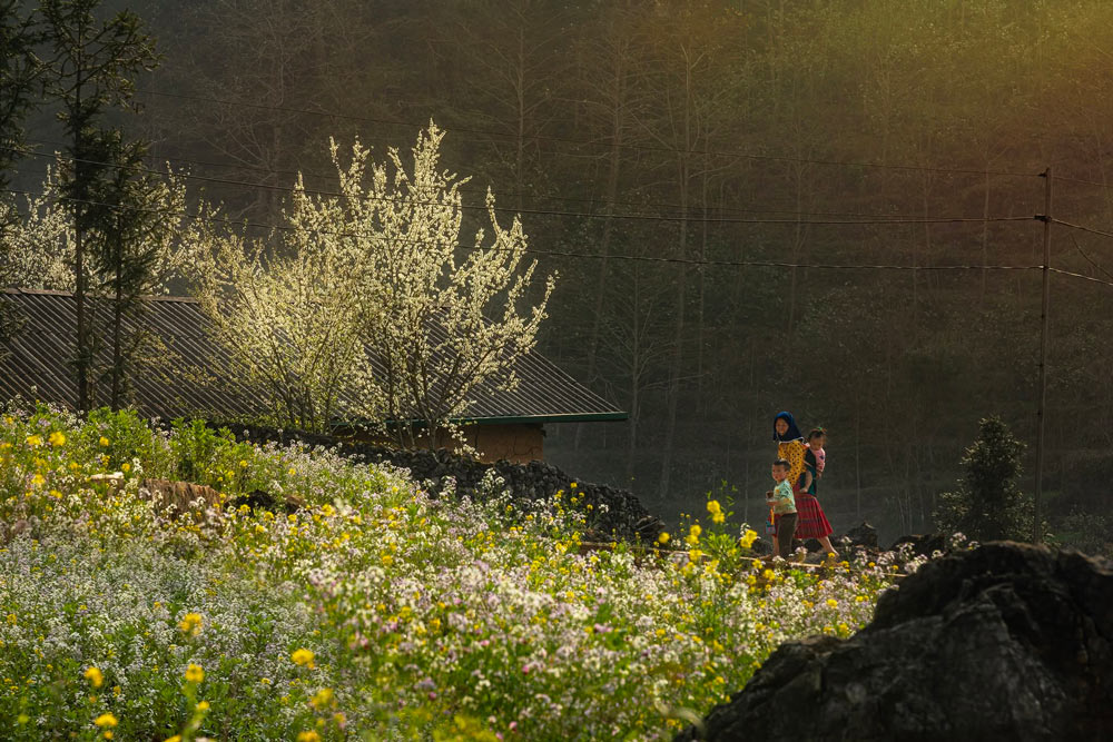 Sapa Weather in March. What Is the Weather Like in Sapa in March? Temperatures and Climate