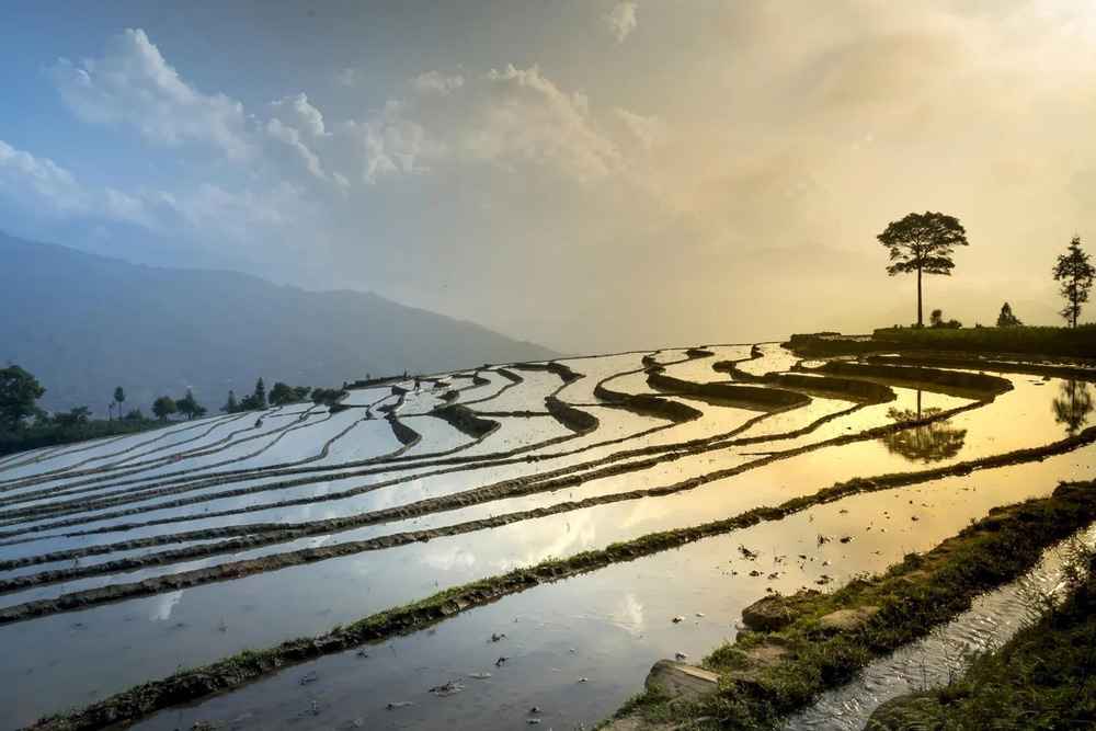 Sapa Weather in May. What Is the Weather Like in Sapa in May? Temperatures and Climate