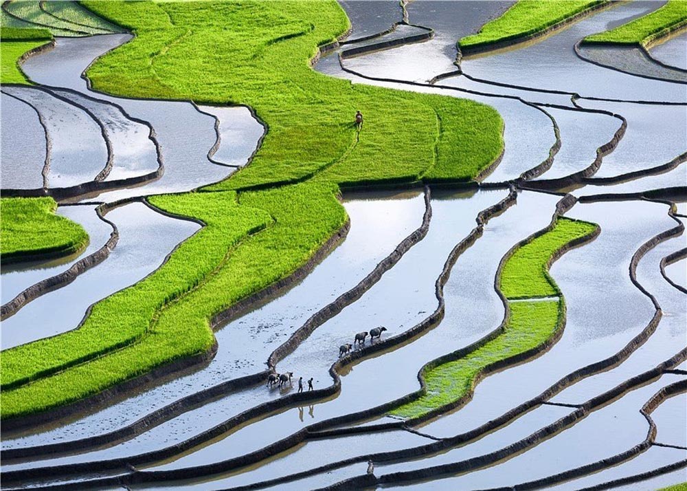 Sapa Weather in May 2027: Rain, Rice Terraces and Trekking