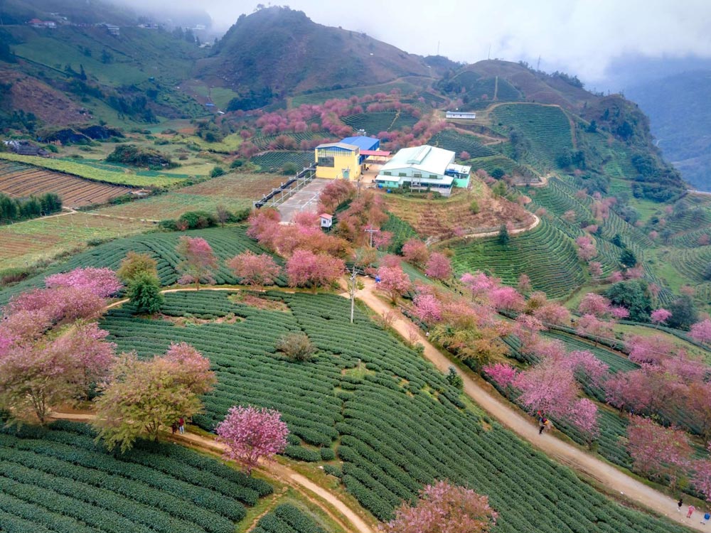 Sapa Weather in November. Asia Mystika Insider Advice: The November Reality Check