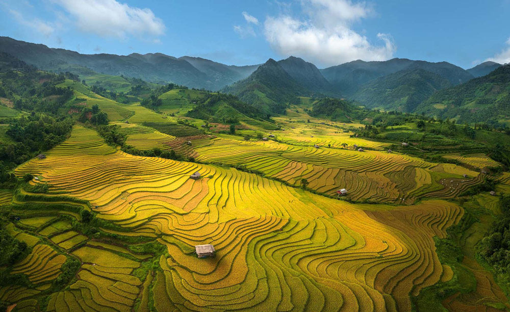 Sapa Weather in November. Is 4 Days in Sapa Too Much in November?