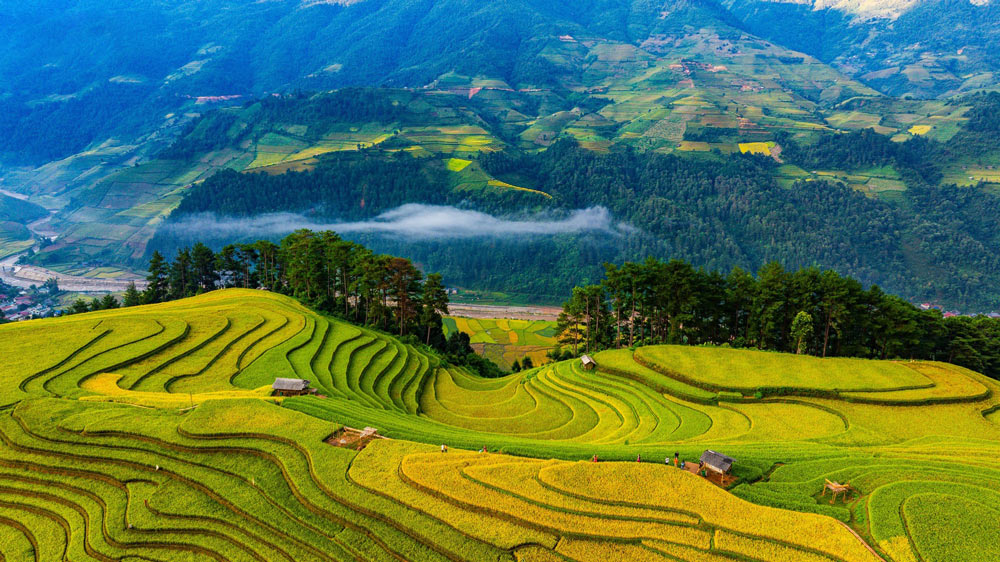 Sapa Weather in November. Is November a Good Time to Visit Sapa?