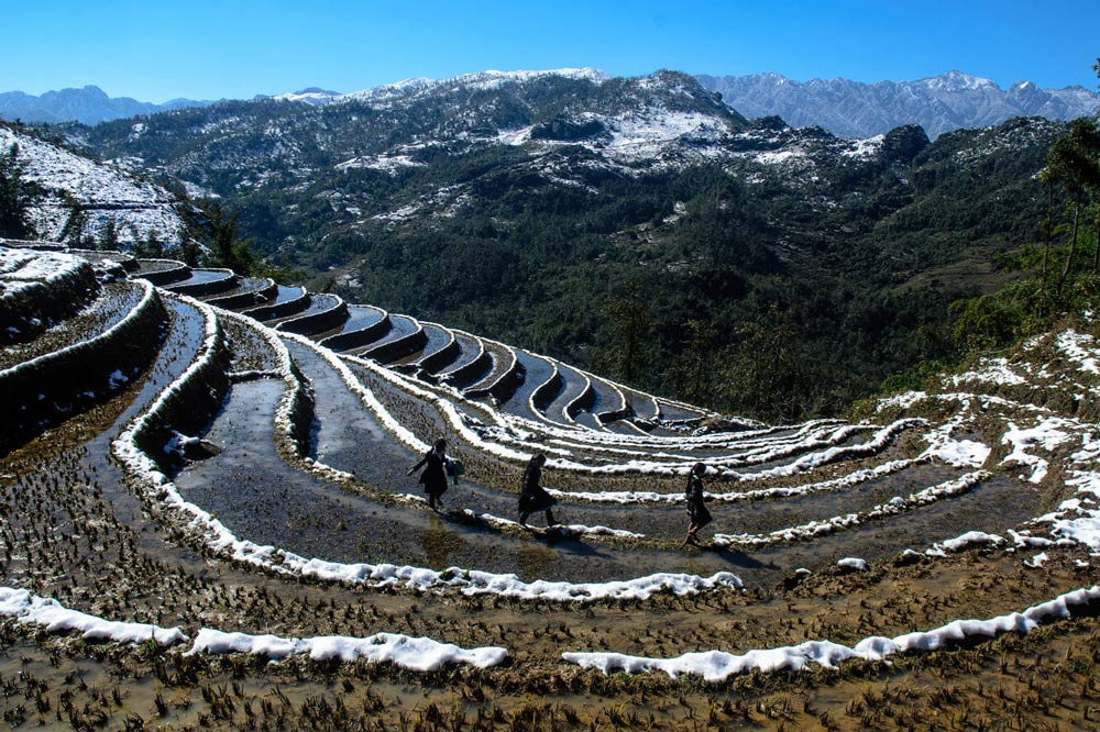 Sapa Winter Vietnam. What Is the Weather Like in Sapa in Winter? Temperatures and Climate