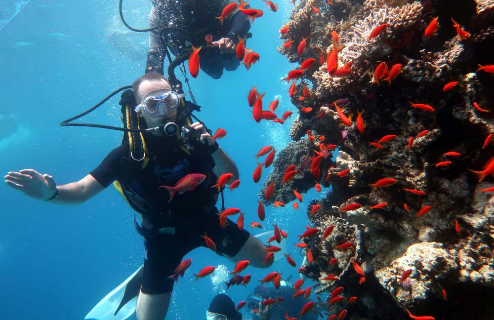scuba diving Vietnam essential tips for your underwater adventure