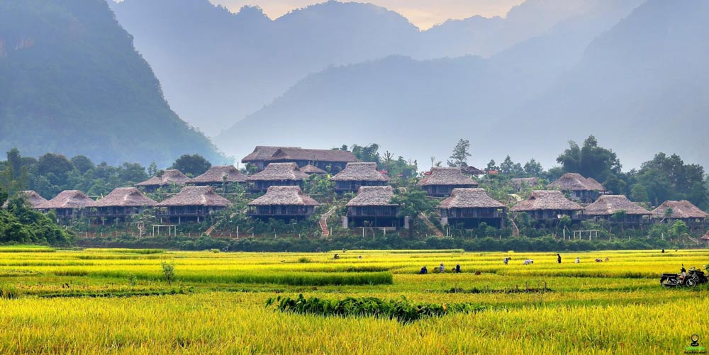 Stilt houses. Discovering Vietnam from above: the charm of stilt house living