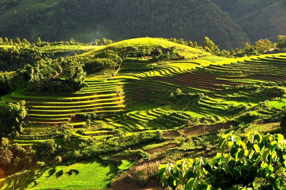 Ta Van Sapa Vietnam. Frequently Asked Questions (FAQ)