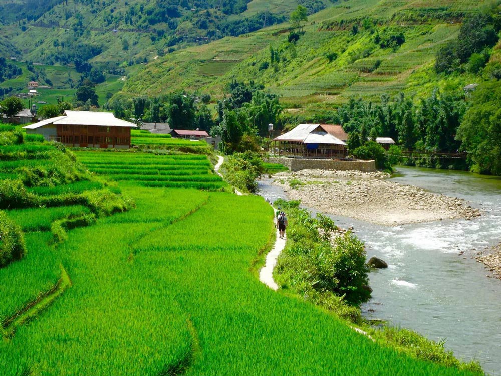 Ta Van Sapa Vietnam. 2026 Travel Info: Fees and Best Time to Visit