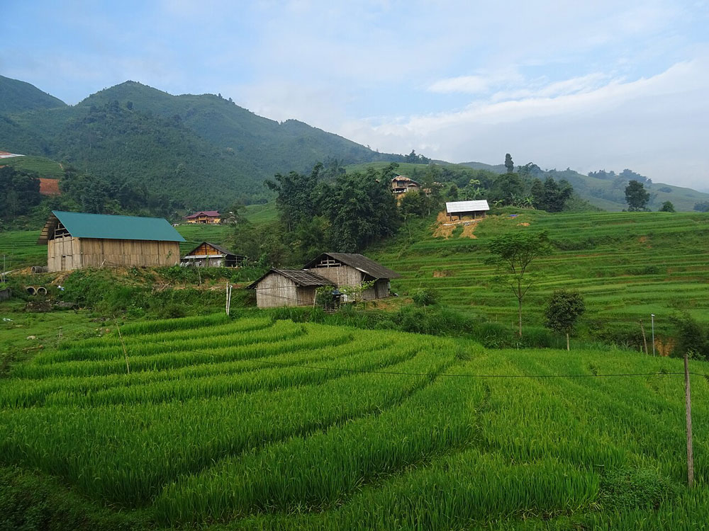 Ta Van Sapa Vietnam 2026 Guide: Village Walks, Entrance Fees, and Homestay Tips