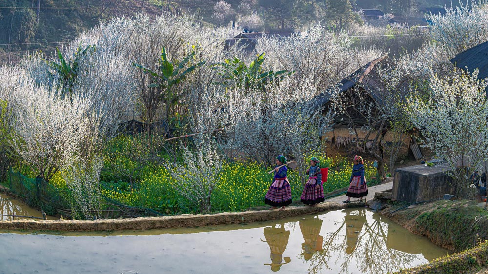 Thac Bac Waterfall. Tips for Making the Most of Your Visit