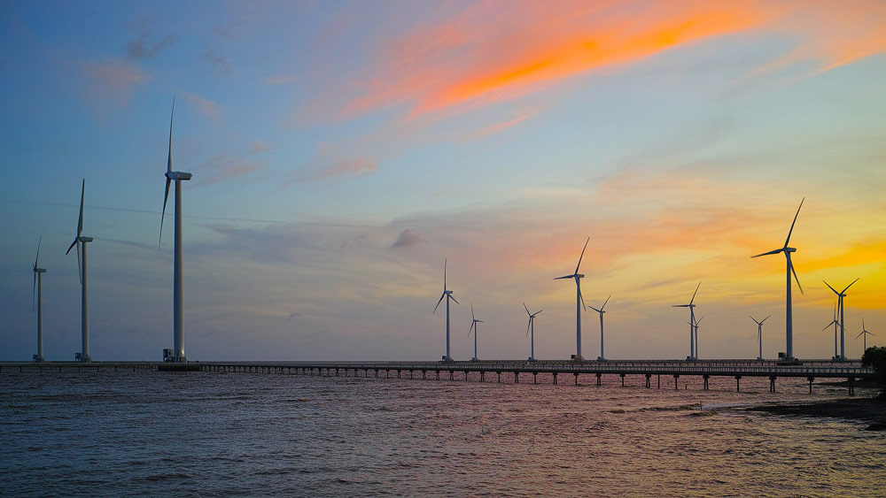 Beyond the Windmills: Uncovering the Best Things to Do in Bac Lieu