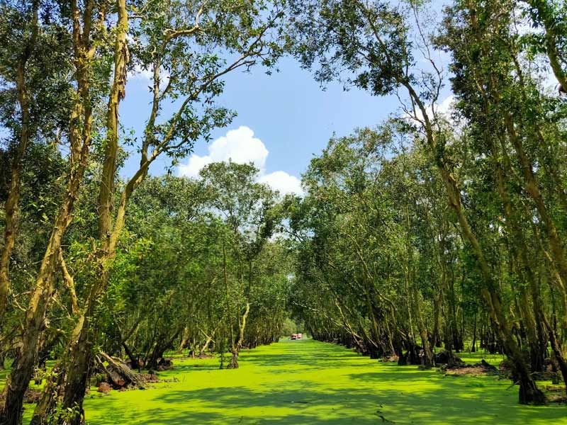 Things to do in Chau Doc Capturing the Spirit of Chau Doc