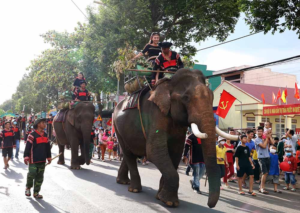 Things to do in Dak Lak Local Festivals