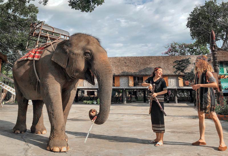 Unforgettable Things to Do in Dak Lak, Vietnam: Your Ultimate Adventure Guide