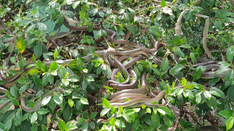 Things to do in My Tho For The Adventurous