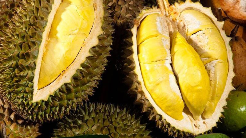 Things to do in My Tho Taste the Tropics