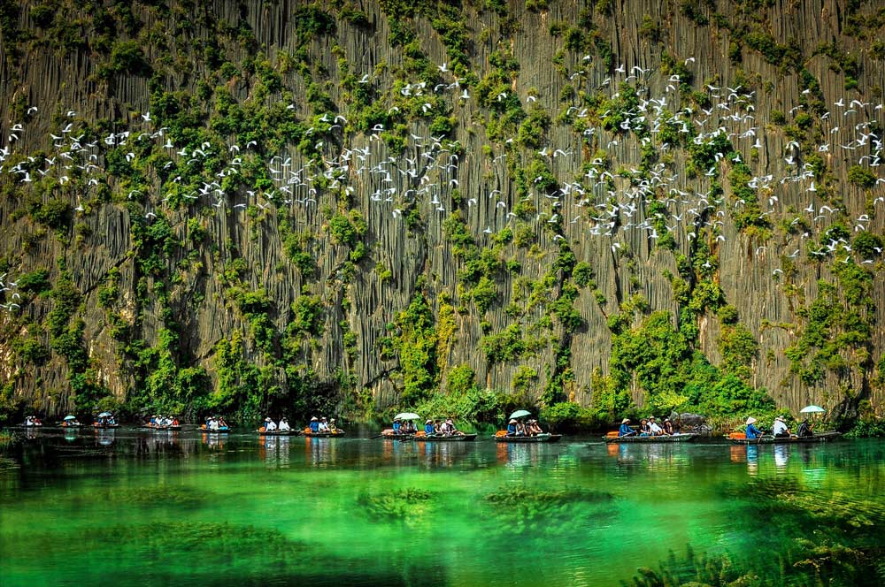 Things to do in Ninh Binh. Things to Do in Ninh Binh: Exploring Natural Wonders. Boat Trips. Van Long Nature Reserve