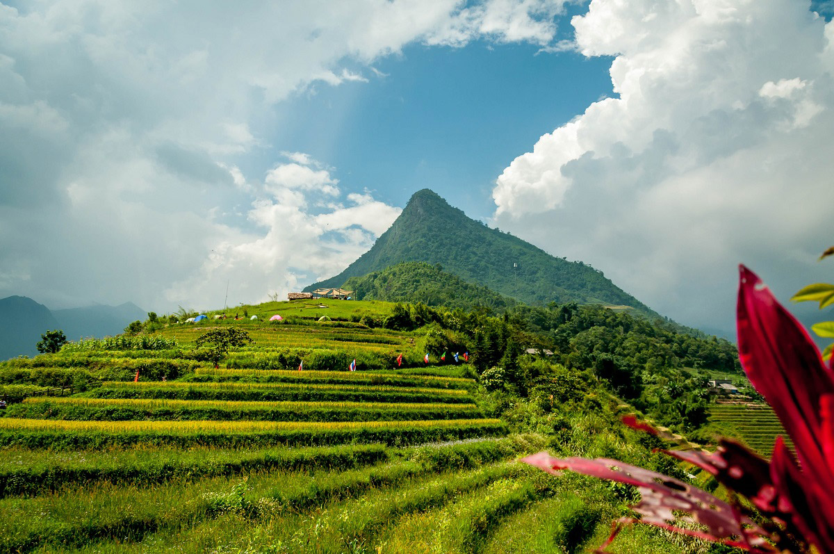 Things to Do in Sapa: A Complete Guide to Vietnam's Mountain Paradise